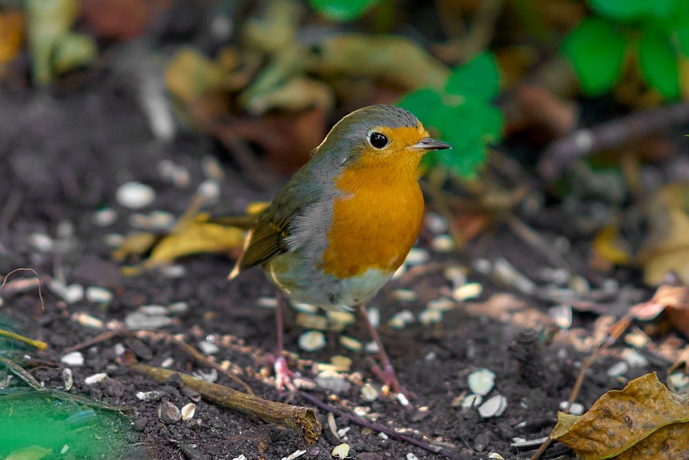 Photograph by Игорь Кад