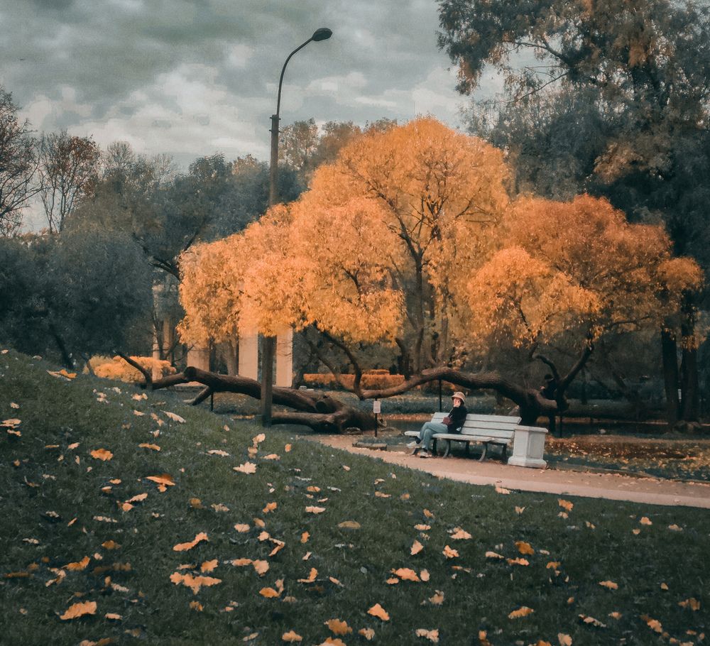 Photograph by Вероника Летецкая