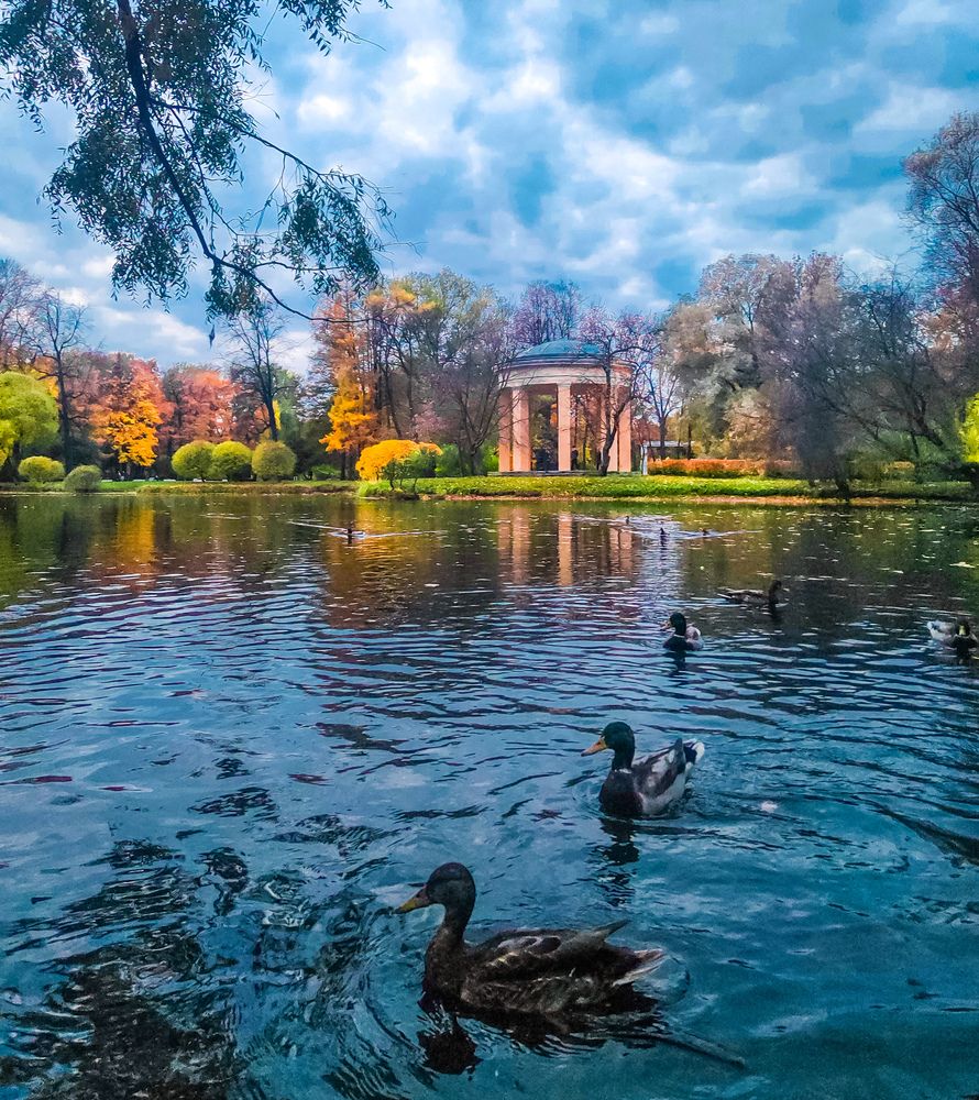 Photograph by Вероника Летецкая