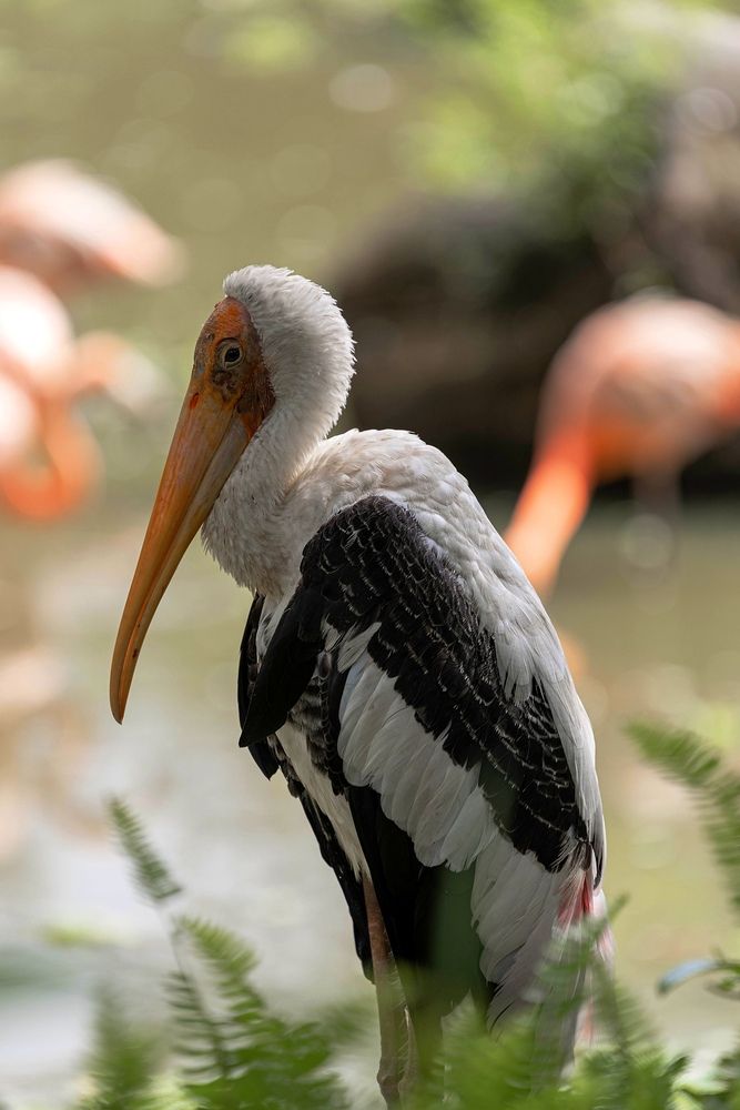 Photograph by Анна Васильева