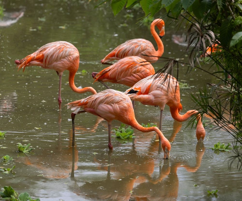 Photograph by Анна Васильева