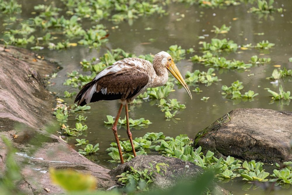 Photograph by Анна Васильева