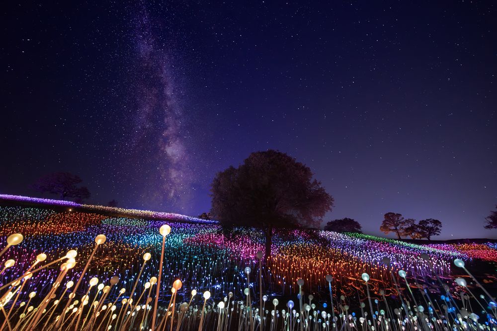 “Sensorio: A Symphony of Light, Music & Open Air—Beyond Any Image”