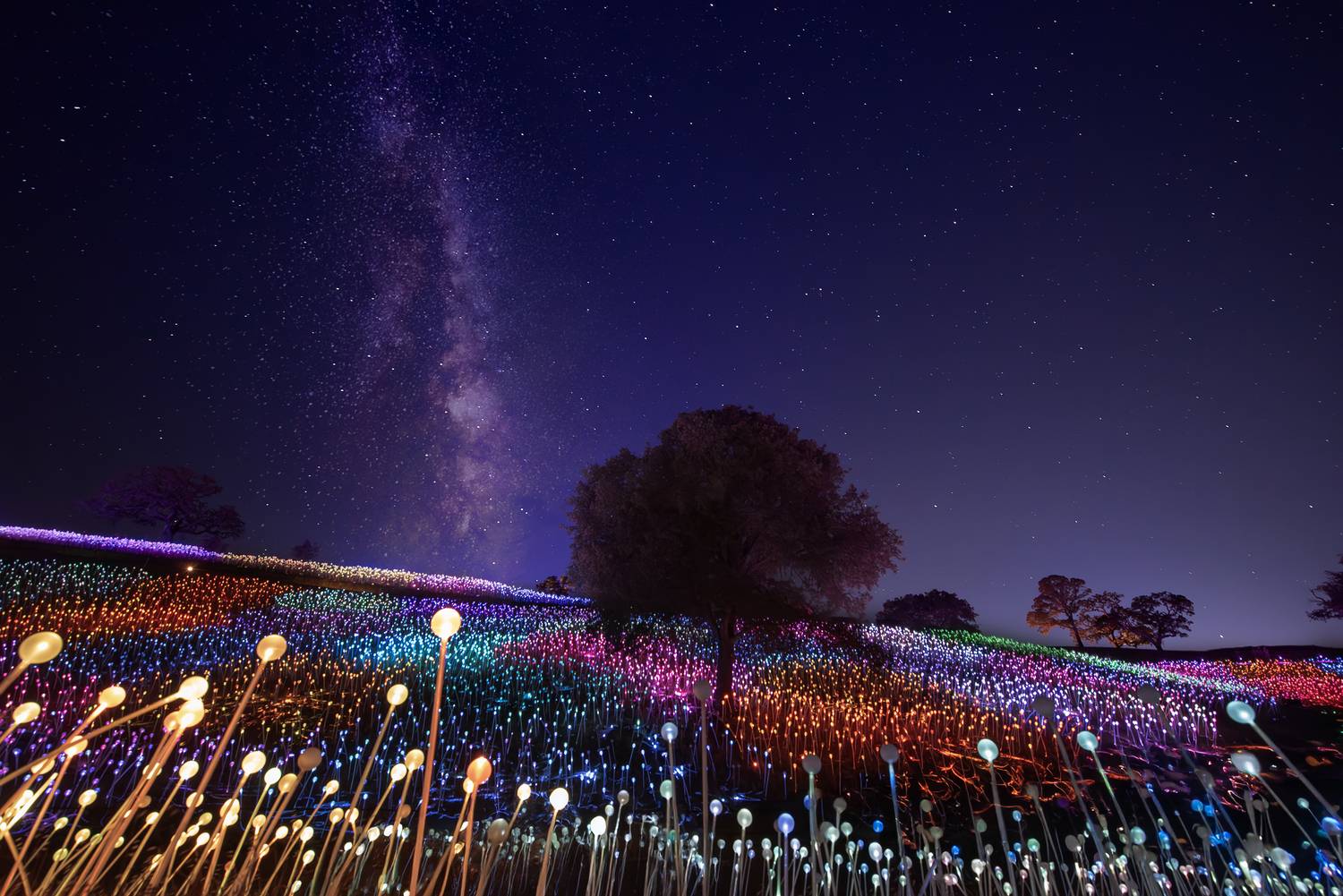 “Sensorio: A Symphony of Light, Music & Open Air—Beyond Any Image”