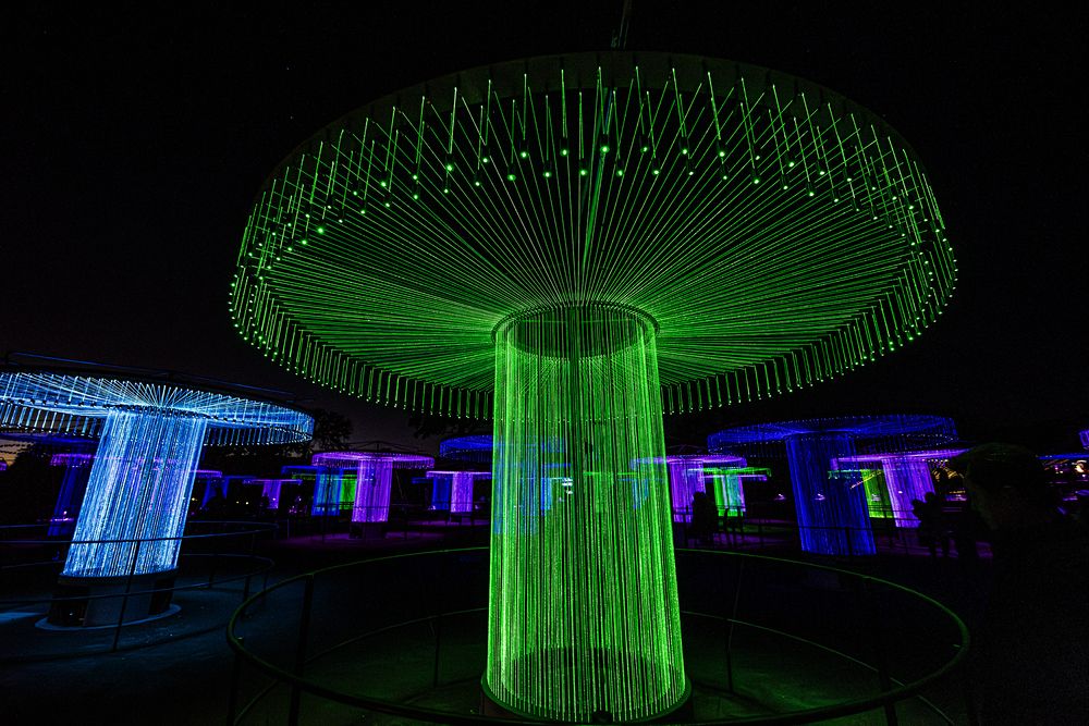 “Sensorio: A Symphony of Light, Music & Open Air—Beyond Any Image”