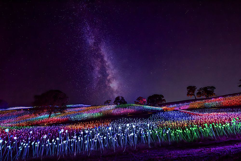 “Sensorio: A Symphony of Light, Music & Open Air—Beyond Any Image”