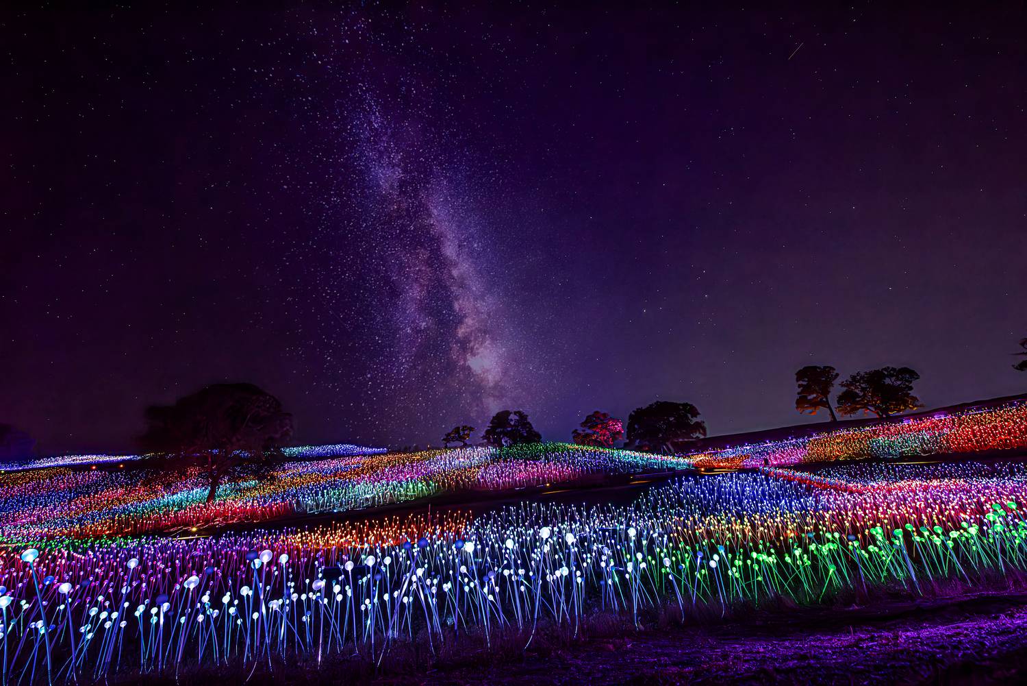 “Sensorio: A Symphony of Light, Music & Open Air—Beyond Any Image” “Sensorio: A Symphony of Light, Music & Open Air—Beyond Any Image”