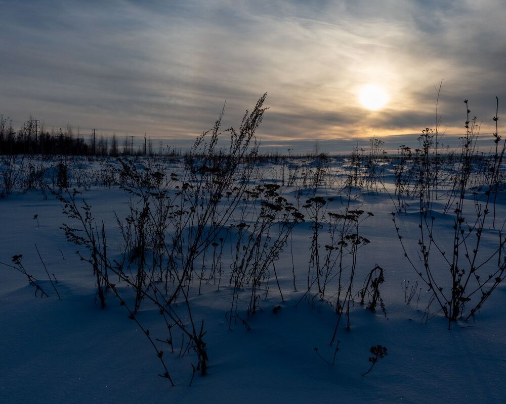 Фотография автора Бычков Валерий