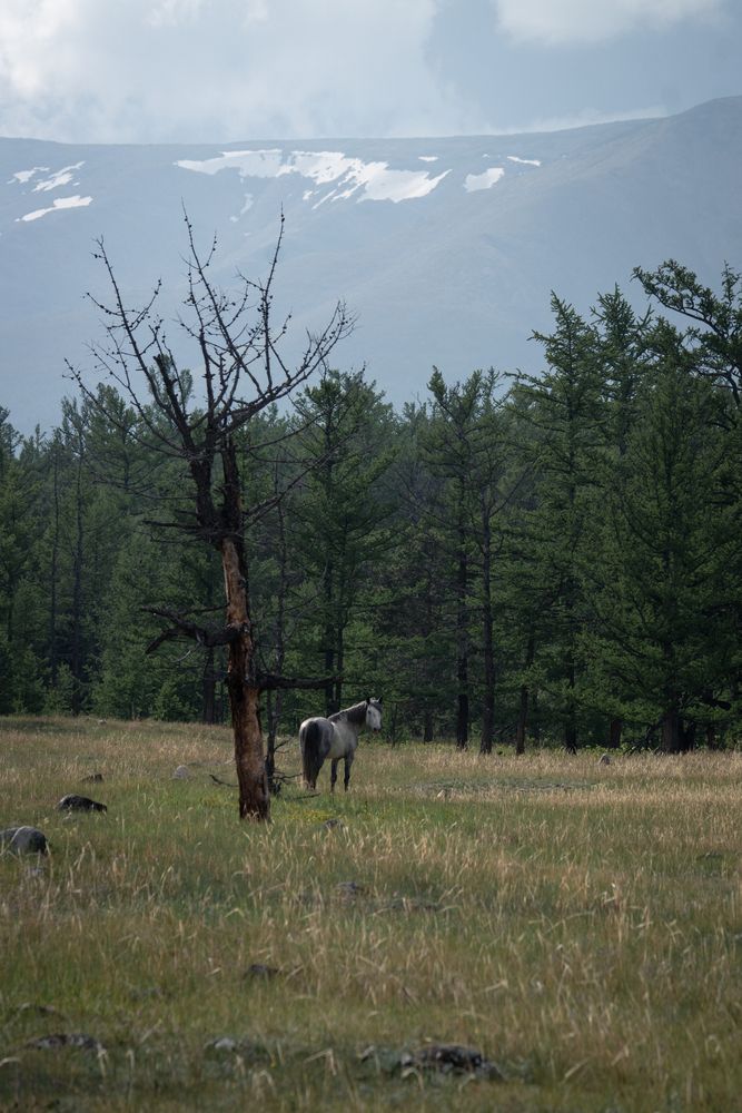 Photograph by Света Трифоненкова