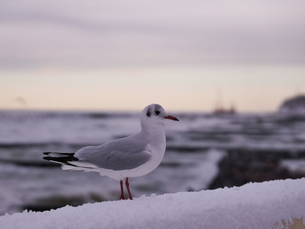 Photograph by Юлия Медведева
