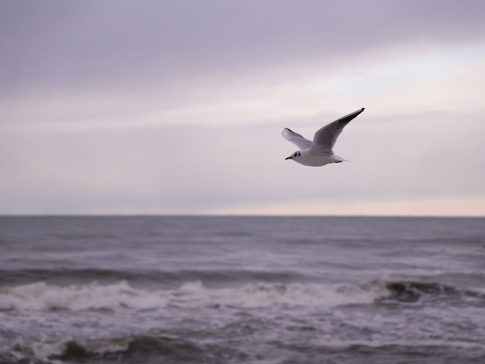 Photograph by Юлия Медведева