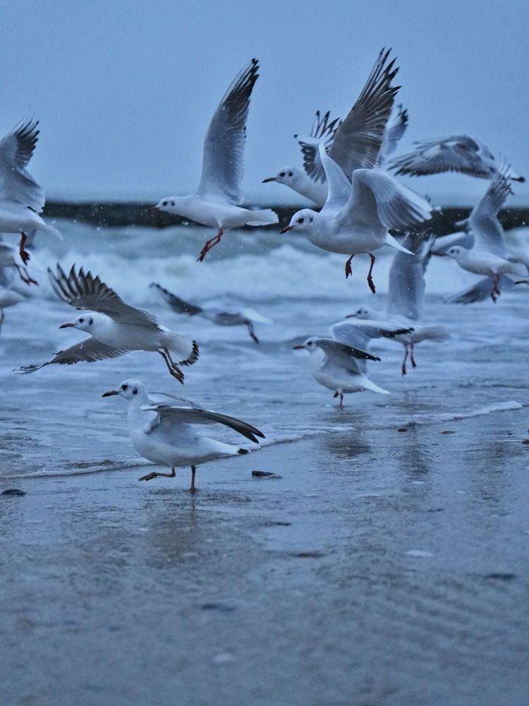 Photograph by Юлия Медведева