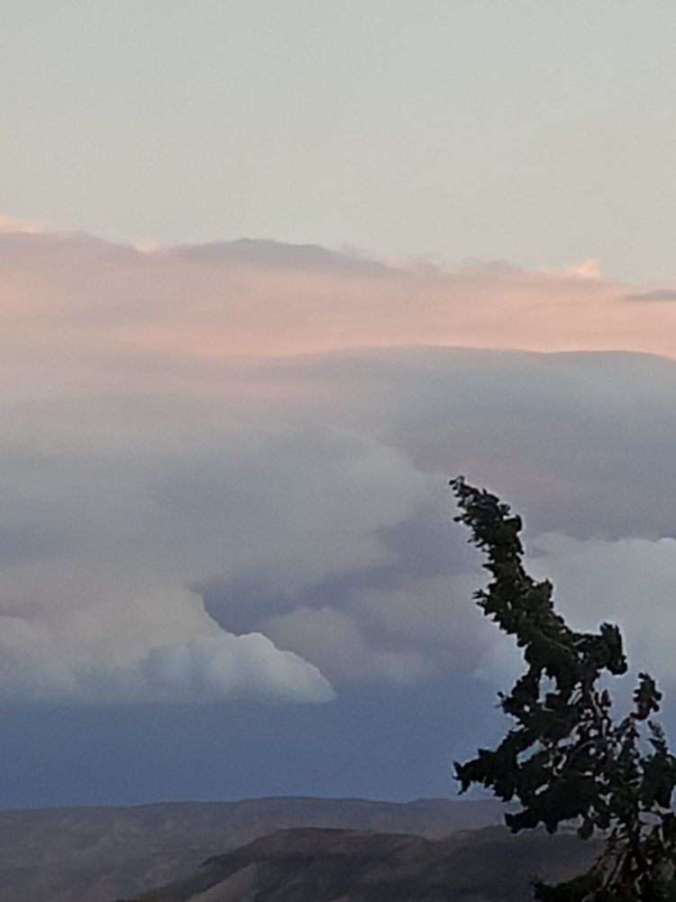 Photo #13083318