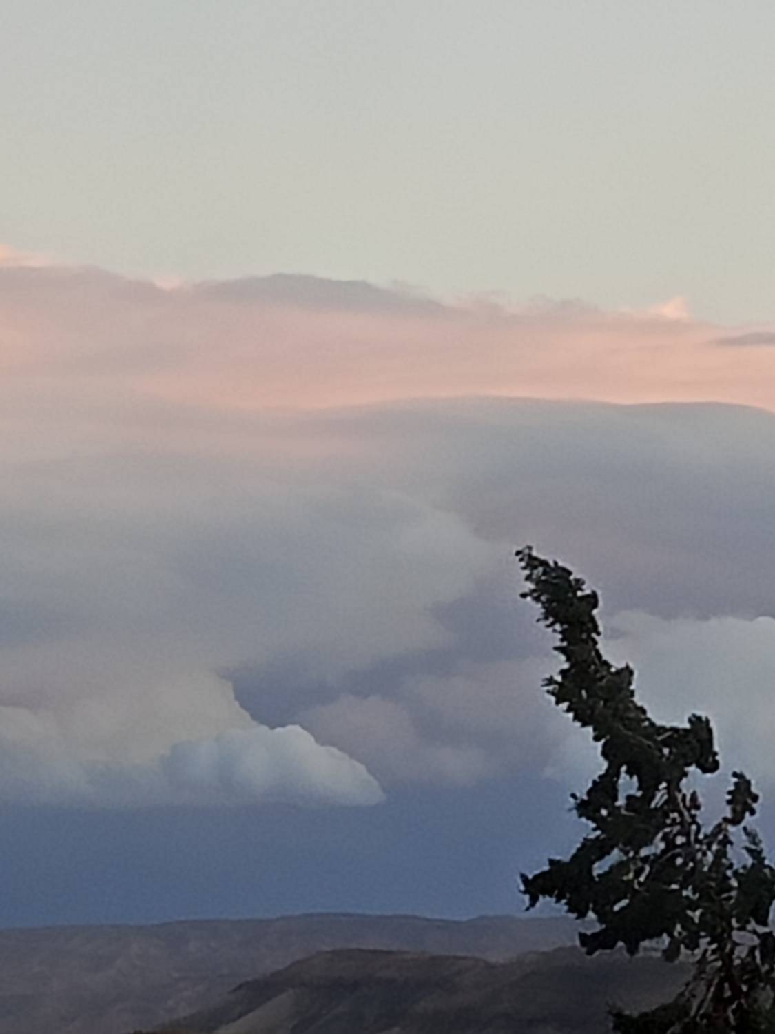 Photo #13083318