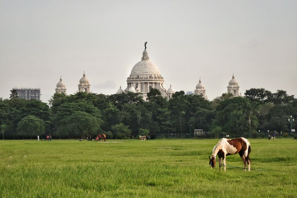 Фотография автора Soumyak Saha Dhrubo
