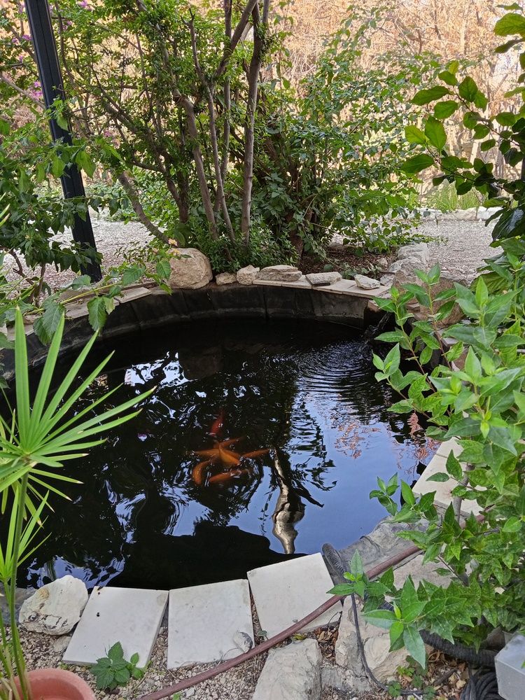 Photo #13083355