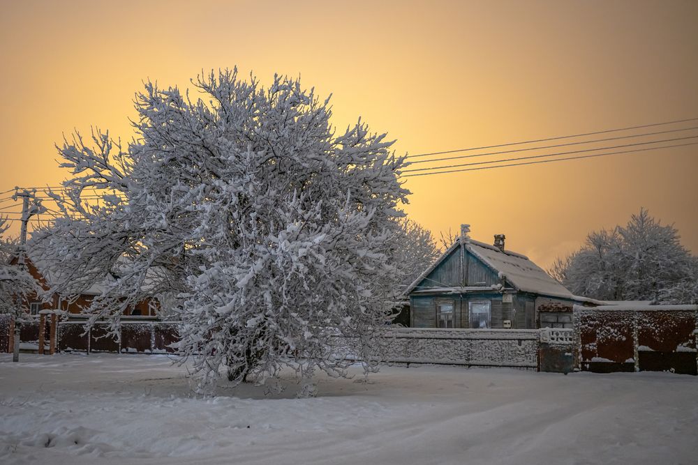 Фотография автора Галина Григорьева