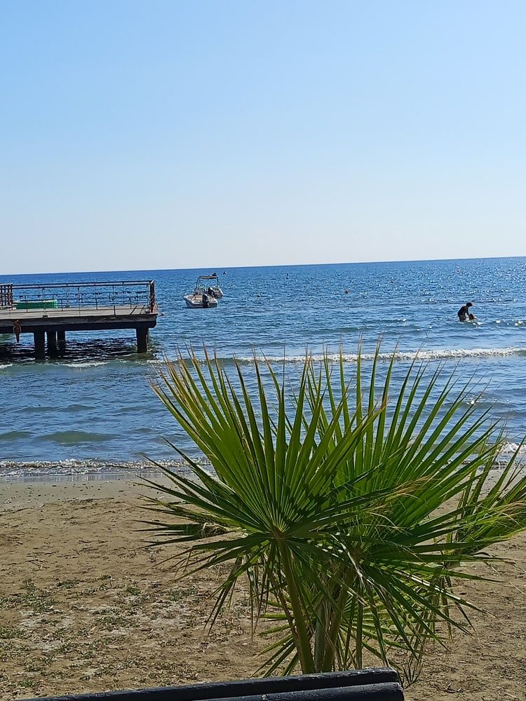Photo #13083393