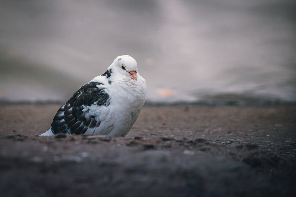 Photograph by Алексей