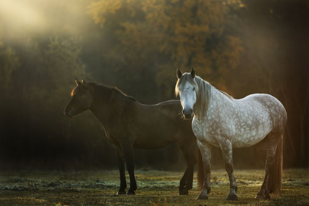 Photograph by Anastasia Gubina