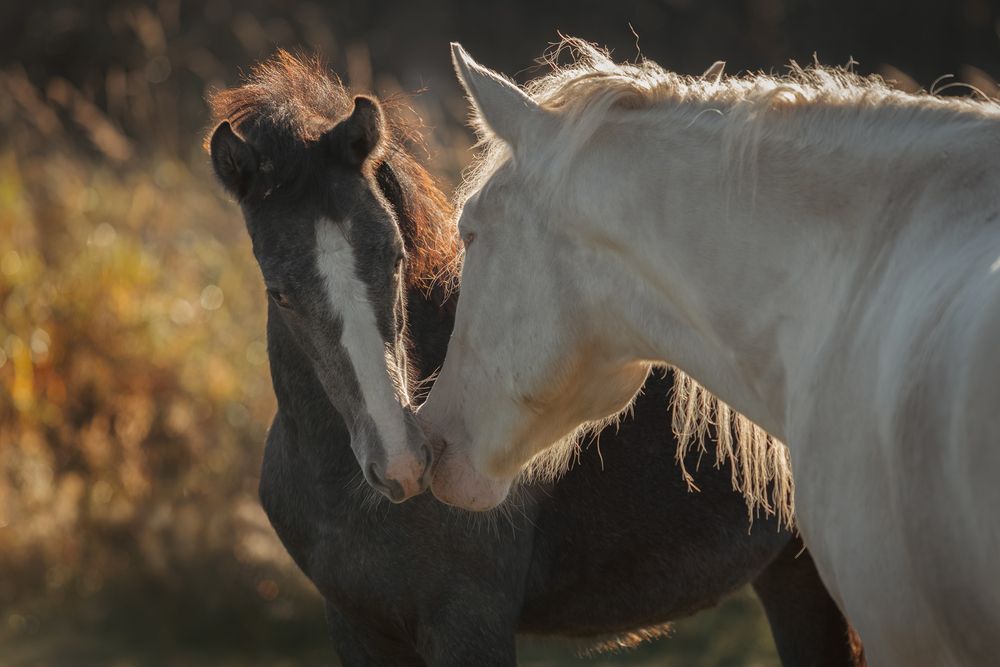 Photograph by Anastasia Gubina