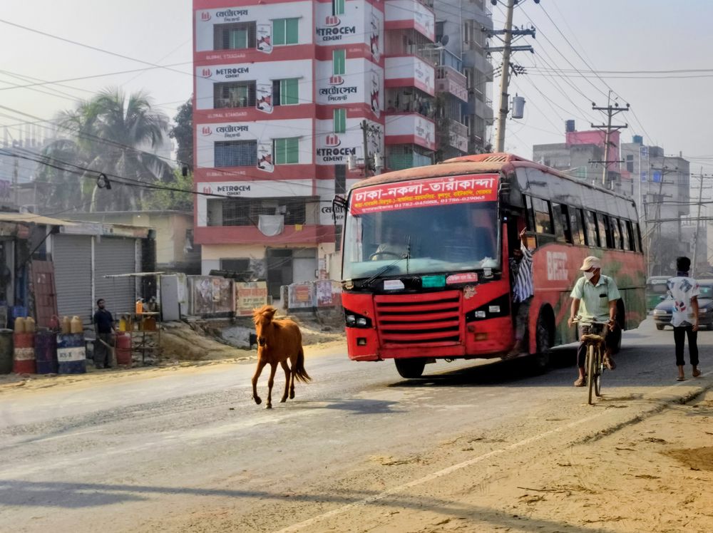 Фотография автора Soumyak Saha Dhrubo