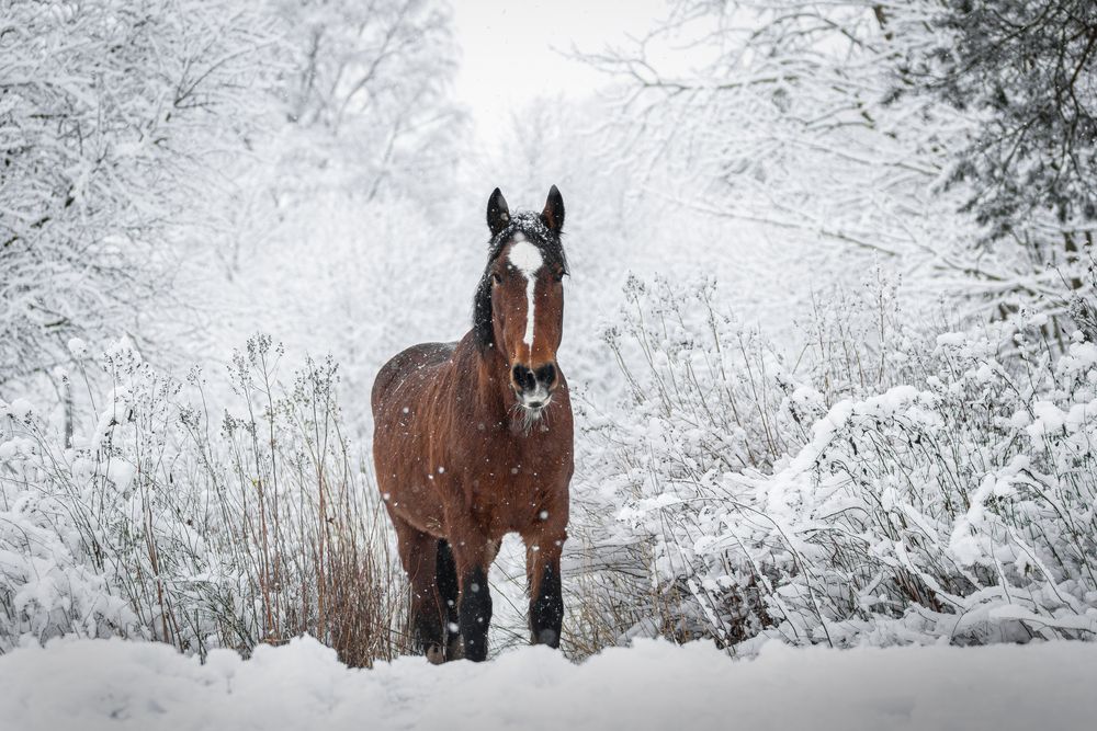 Photograph by Anastasia Gubina