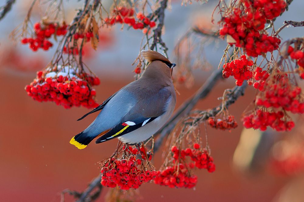 Photograph by виктор ковчин