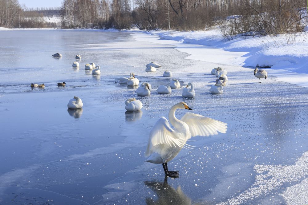 Photograph by виктор ковчин