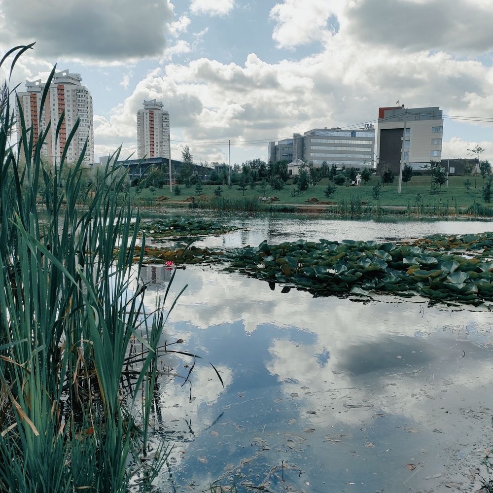 Photograph by Осадчая Анна
