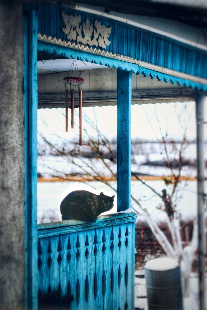 Photograph by Владислав