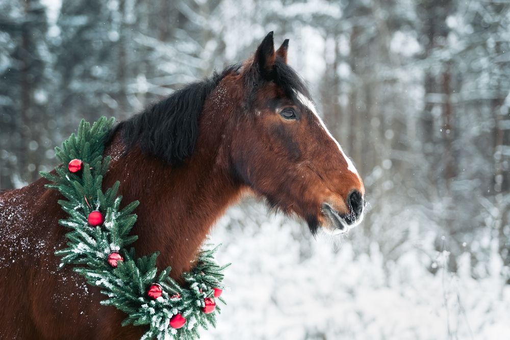 Фотография автора Anastasia Gubina