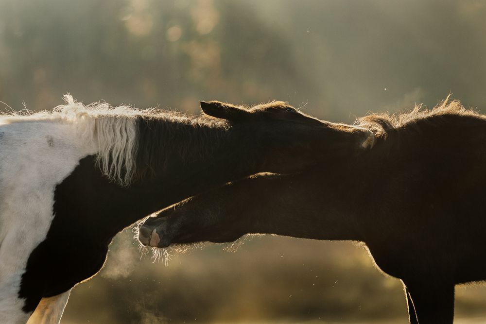 Photograph by Anastasia Gubina