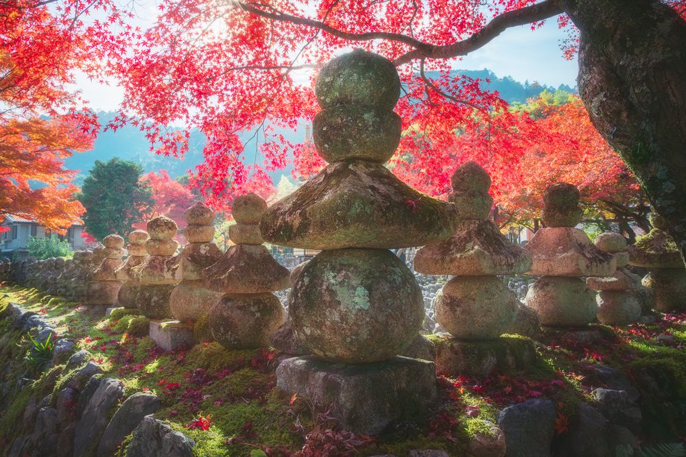 Photograph by Антон Агарков