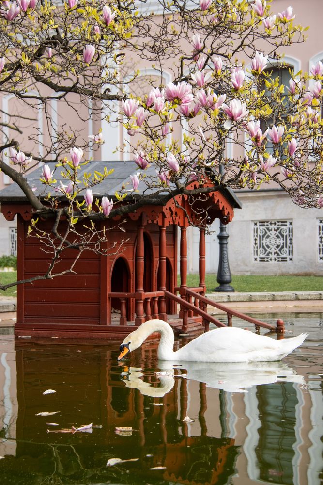 Фотография автора Светлана Роткина