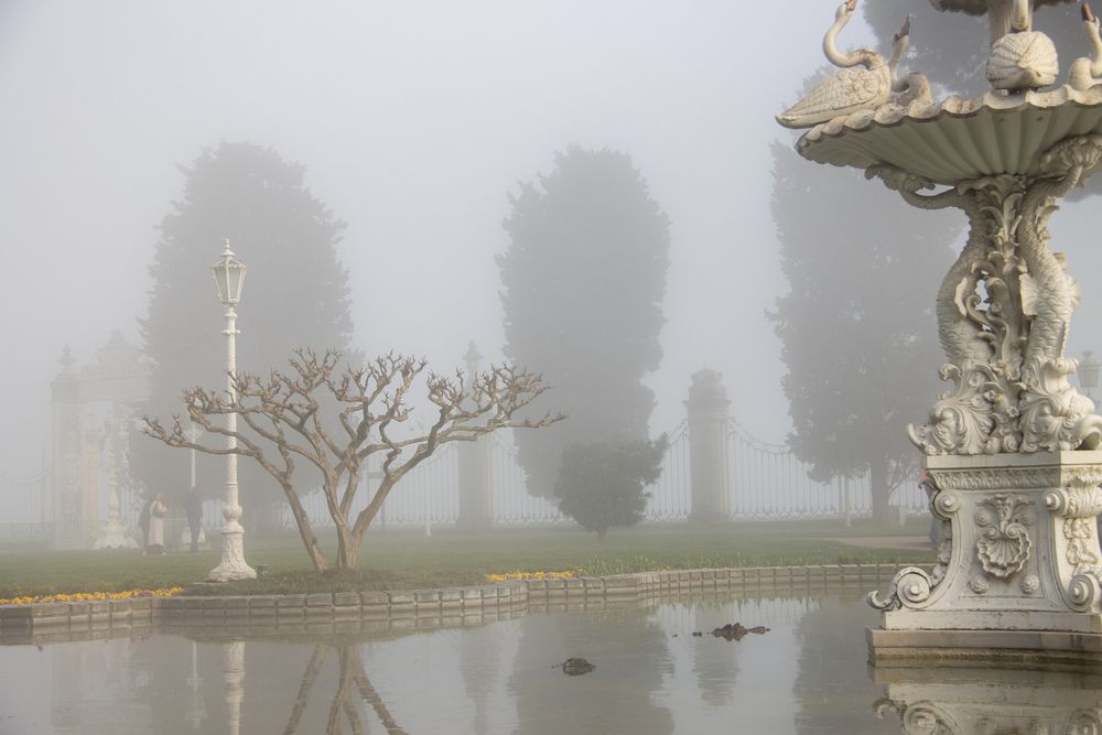 Фотография автора Светлана Роткина