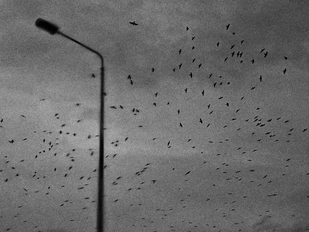 Photograph by Владислав Александрович