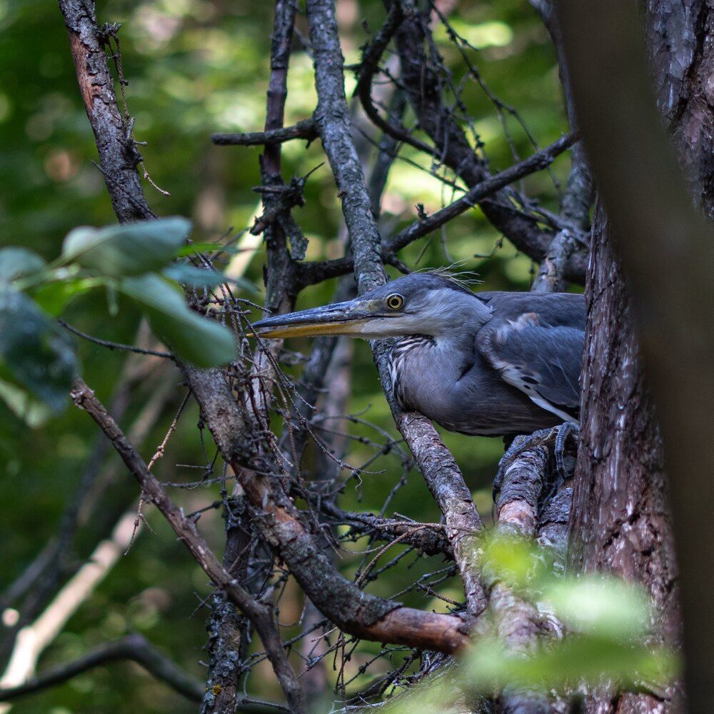 Photograph by Ксения Шилина