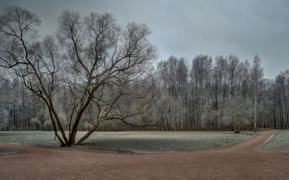 Photograph by Marina Krivitskaya