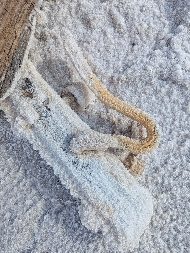 Photograph by AlexaL