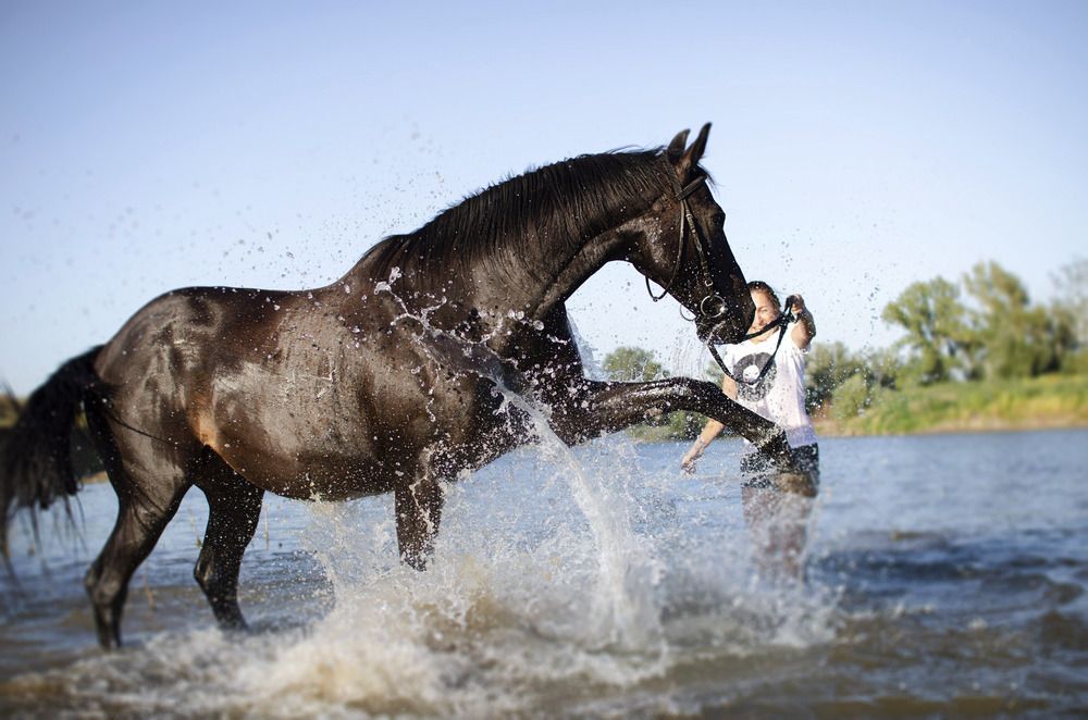 Фотография автора Ирина Ненашева