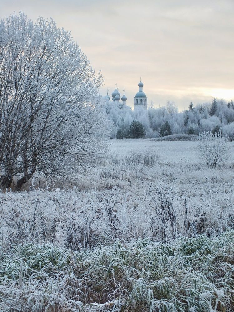 Фотография автора Андрей Шестаков