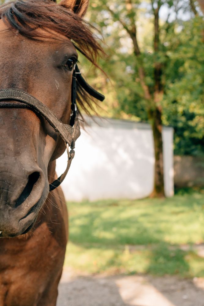 Photograph by Сюзанна