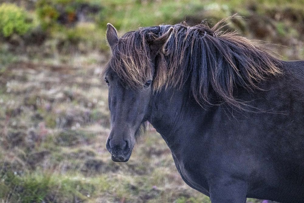 Фотография автора Bhupender Gupta