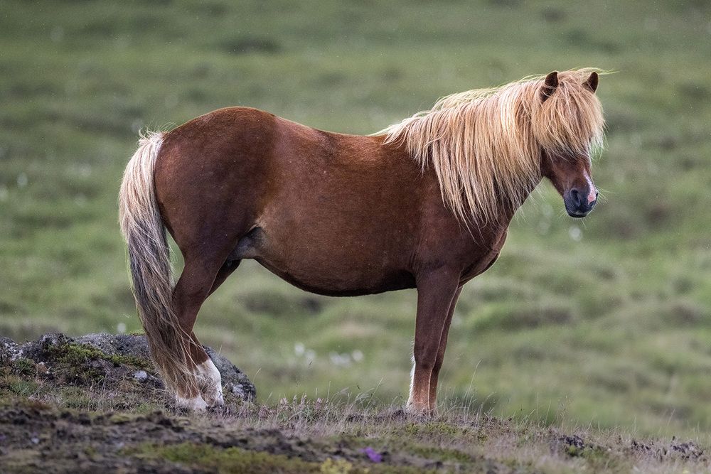 Фотография автора Bhupender Gupta