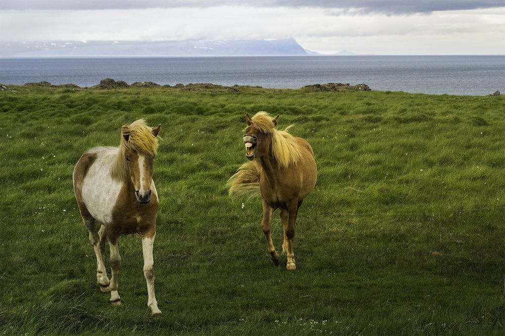 Фотография автора Bhupender Gupta