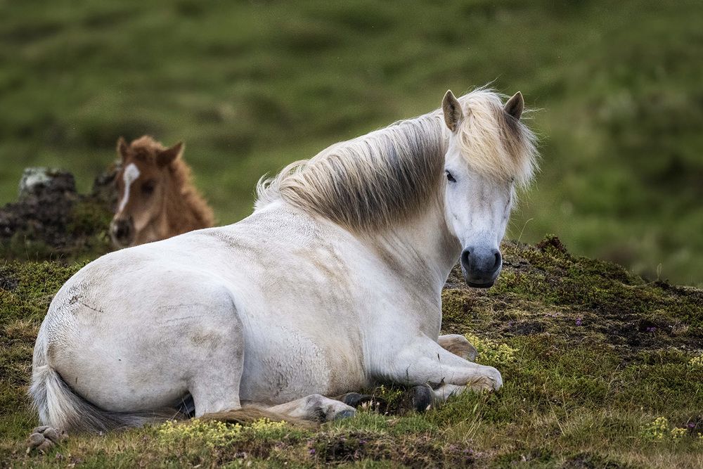 Фотография автора Bhupender Gupta