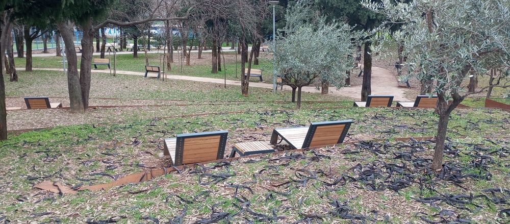 Фотография автора Ivan Ćetković