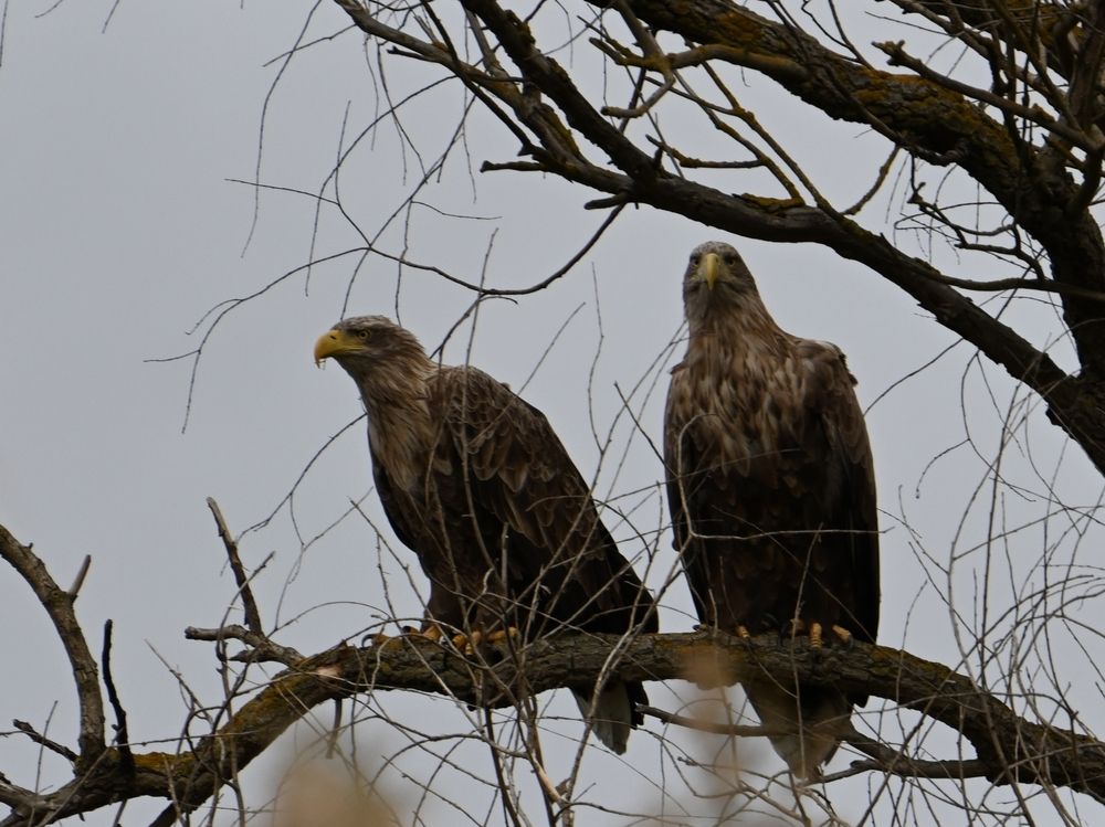Photograph by Сергей Козлов