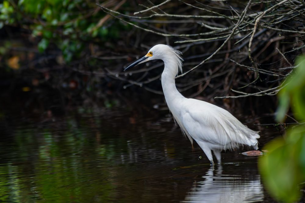 Photograph by Jean Loprete